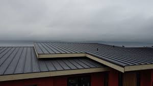 Best Roof Coating and Sealing  in USA